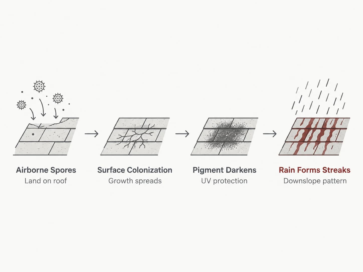 Streak formation diagram, shown as a labelled editorial diagram
