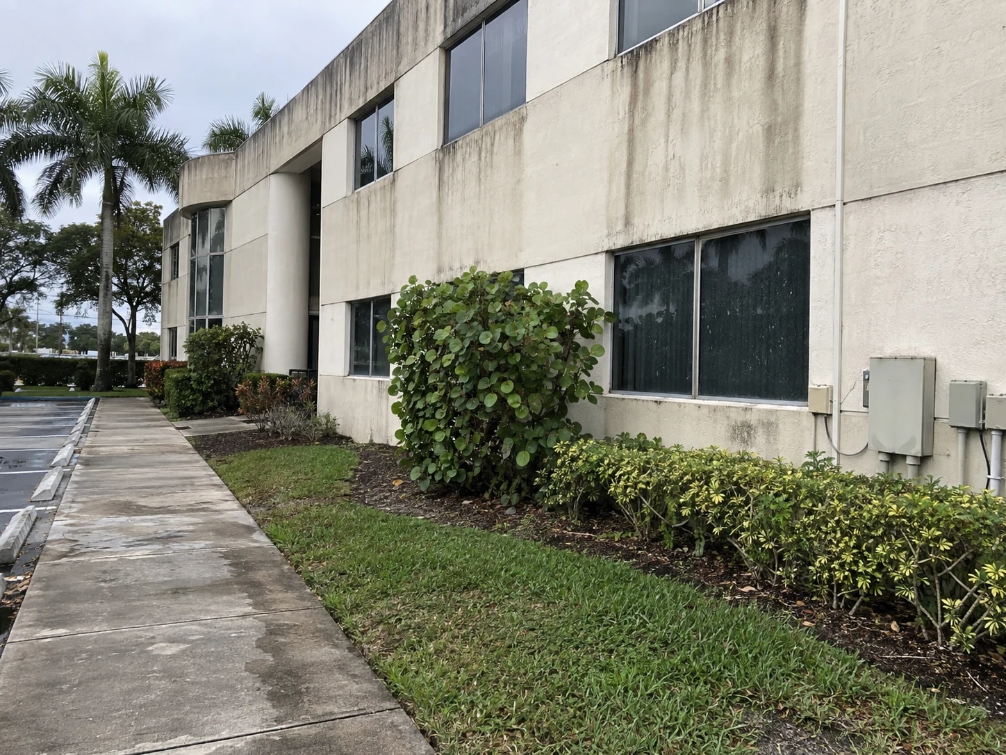 12-month South Florida cleaning calendar
