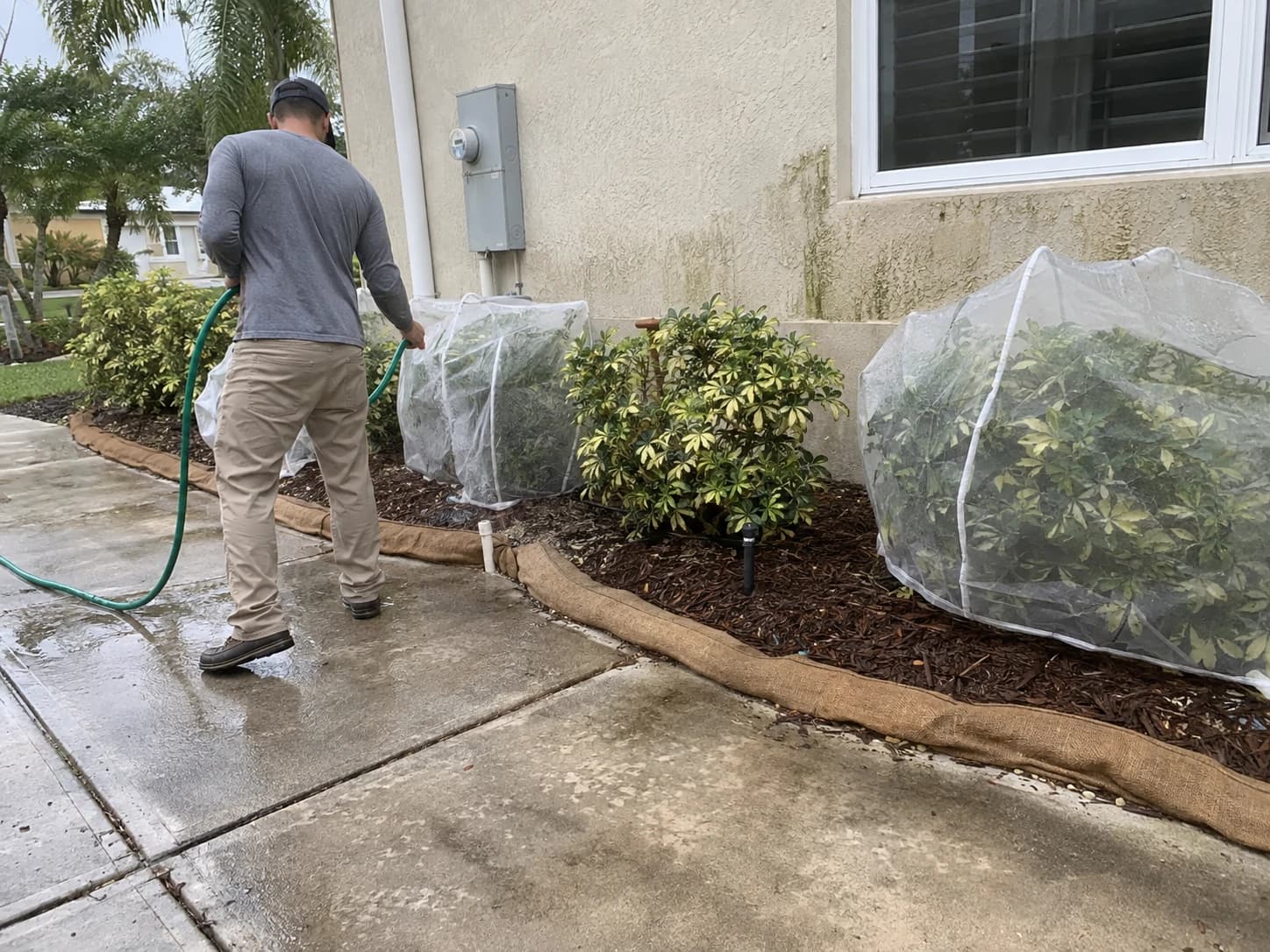 Landscape protection setup