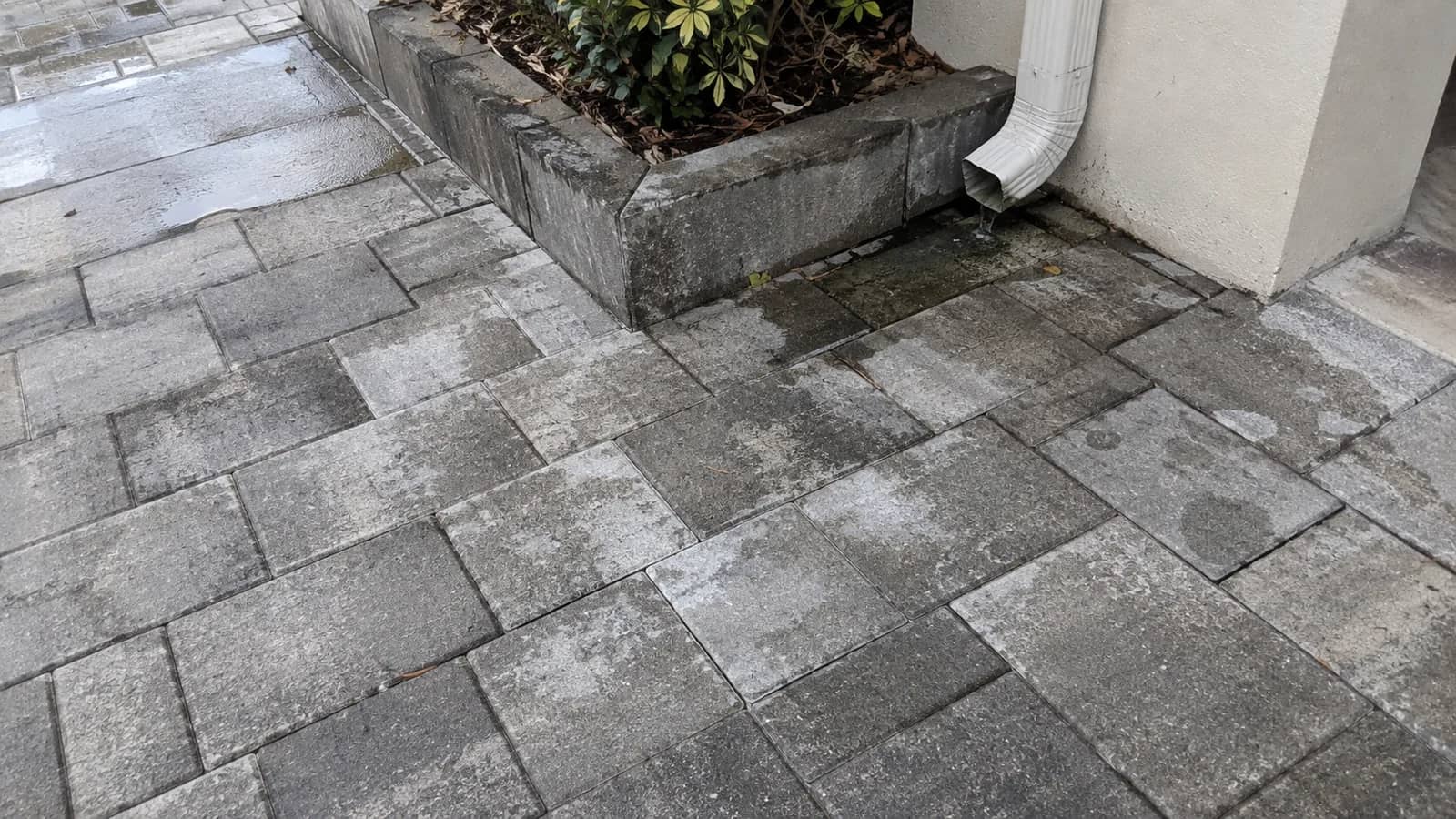 White efflorescence residue across concrete pavers on a commercial walkway