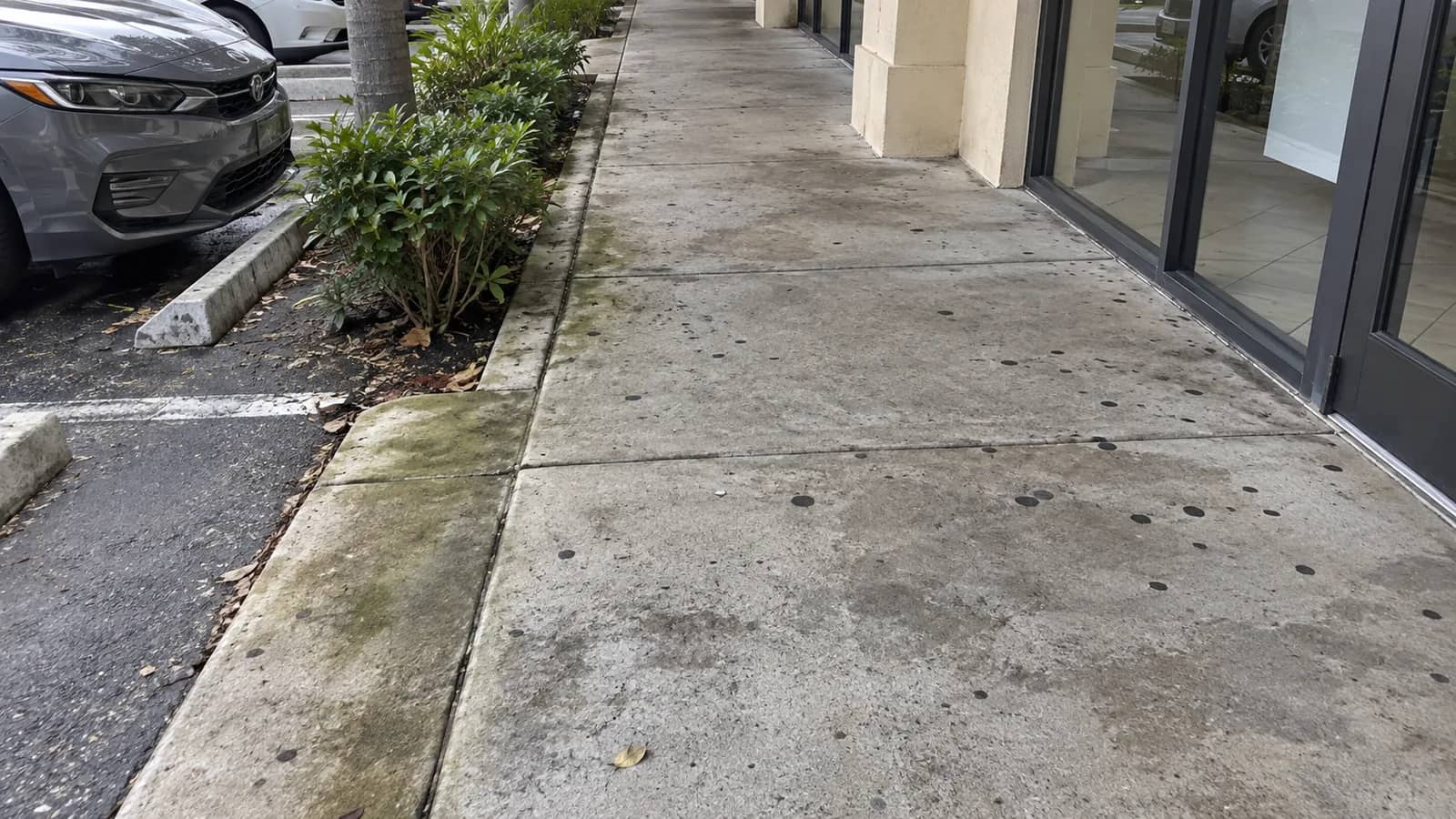 Stained concrete sidewalk along a South Florida retail frontage with gum spots and algae near planters