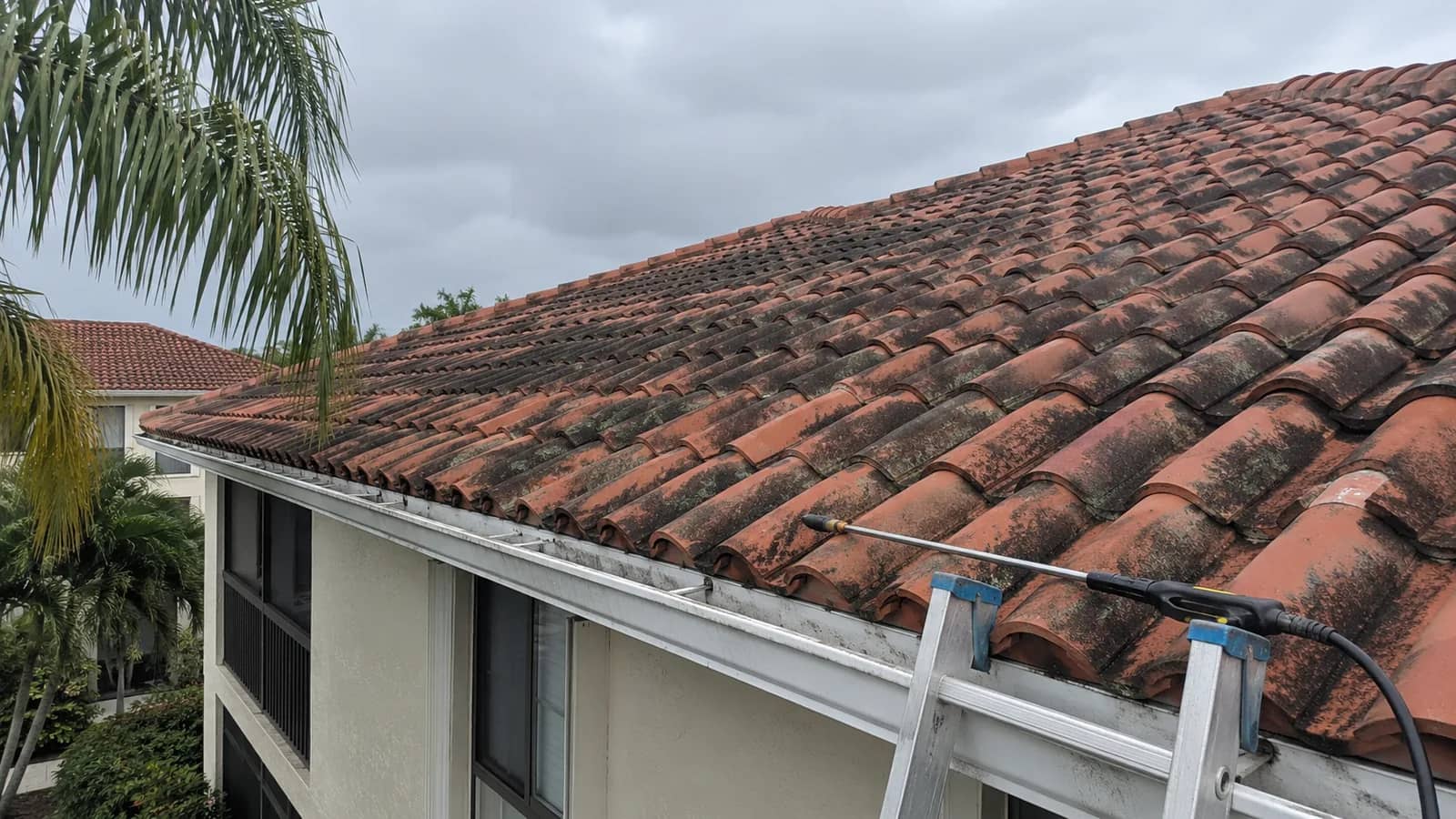 Low-pressure soft wash being applied to a weathered clay barrel tile roof on a South Florida building