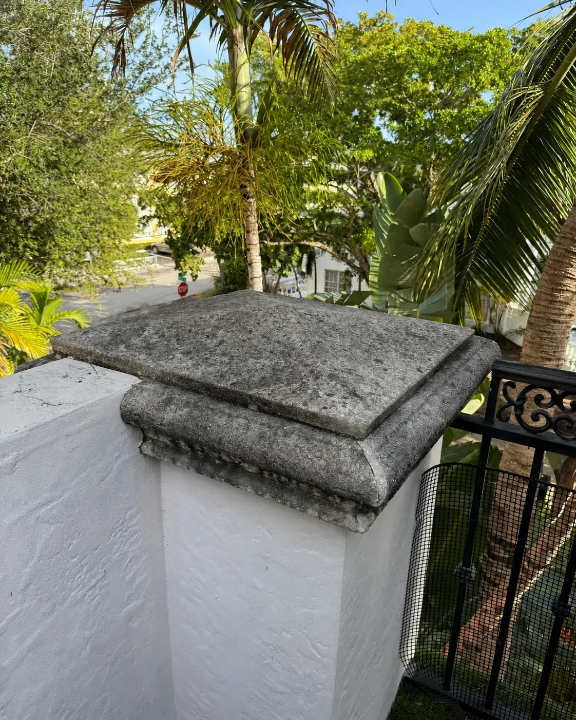 Exterior masonry cap with organic buildup before cleaning