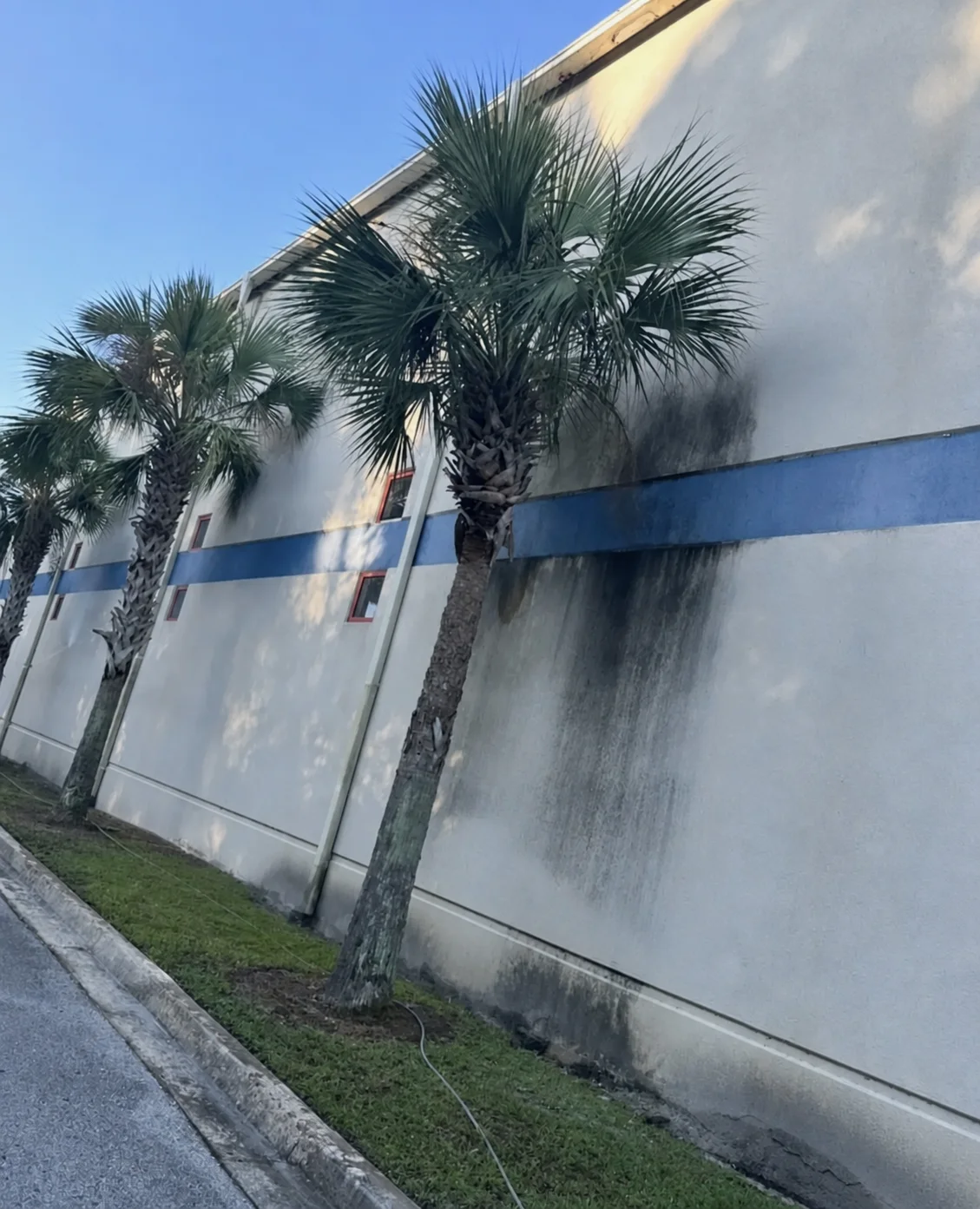 Commercial exterior wall with organic buildup before cleaning